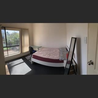 Cho share phòng khu Woodville North fully furnished